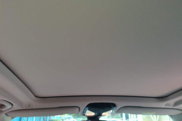 Used BMW X5 2022 xDrive 30Li Luxury M Sport Package Headliner