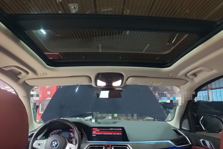 Used BMW X5 2022 xDrive 30Li Luxury M Sport Package Headliner