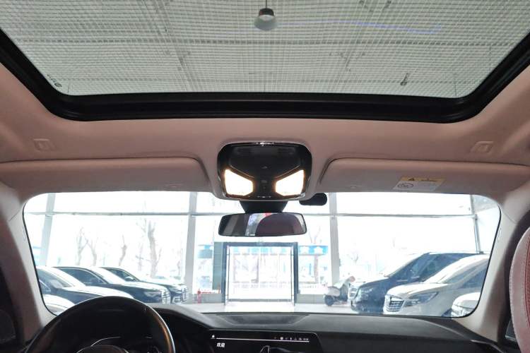 Used BMW X5 2022 Restyled xDrive 30Li Luxury Version M Sport Package Headliner