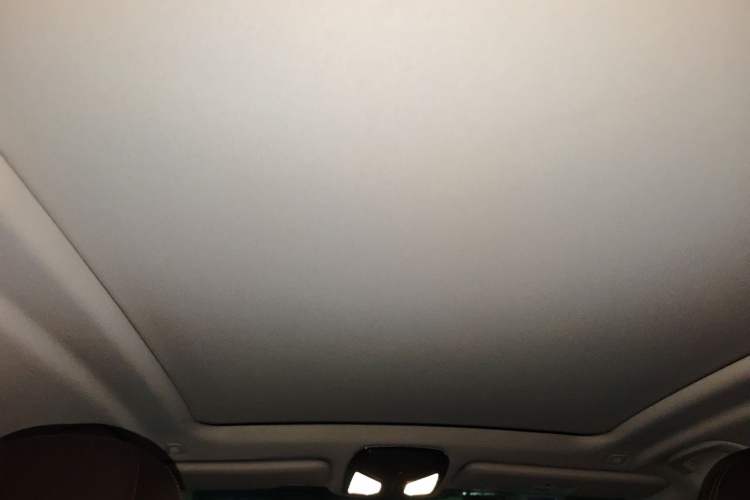 Used BMW X5 2022 xDrive 30Li Luxury M Sport Package Headliner