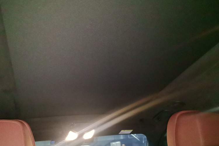 Used BMW X5 2022 xDrive 40Li M Sport Package Headliner