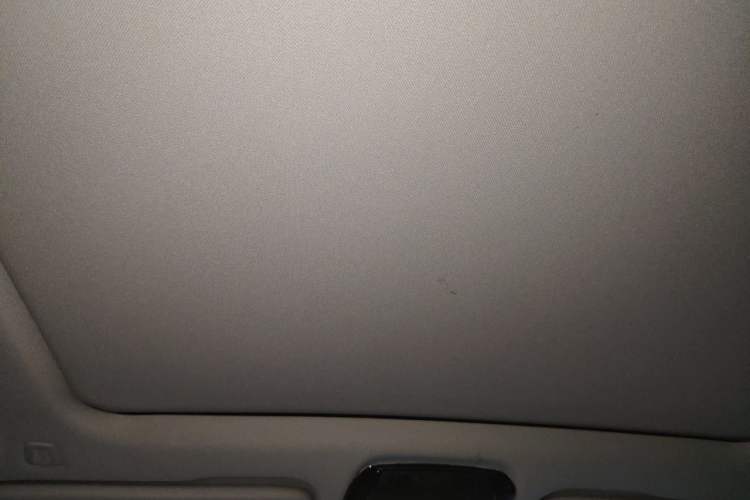 Used BMW X5 2022 xDrive 30Li Luxury M Sport Package Headliner