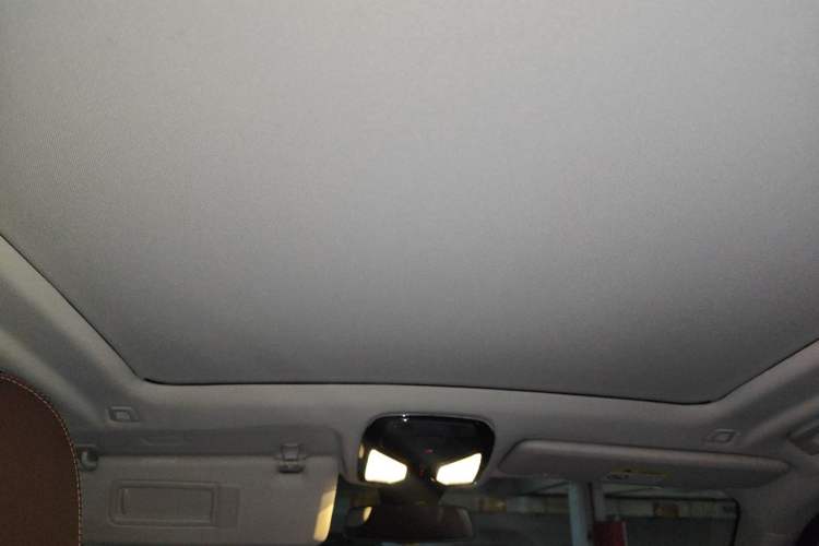 Used BMW X5 2022 xDrive30i M Sport Package Headliner