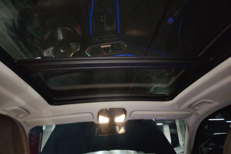 Used BMW X5 2022 xDrive 30Li M Sport Package Headliner