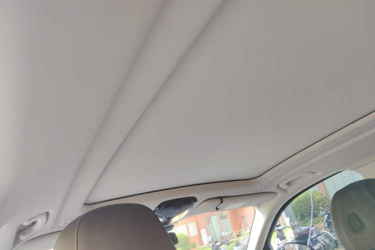 Used BMW X5 2022 xDrive 30Li M Sport Package Headliner