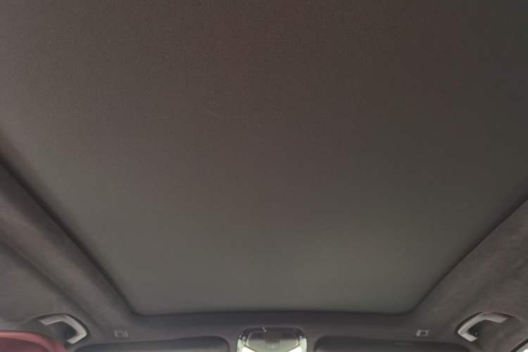 Used BMW X5 2022 xDrive 40Li Luxury Edition M Sport Package Headliner