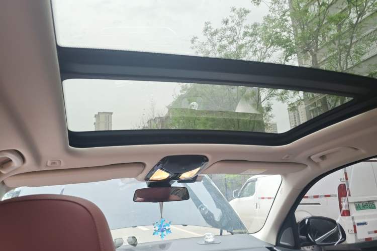 Used BMW X5 2022 xDrive 30Li Luxury M Sport Package Headliner