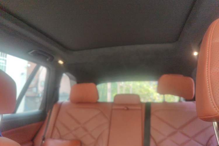 Used BMW X5 2022 xDrive 40Li M Sport Package Headliner