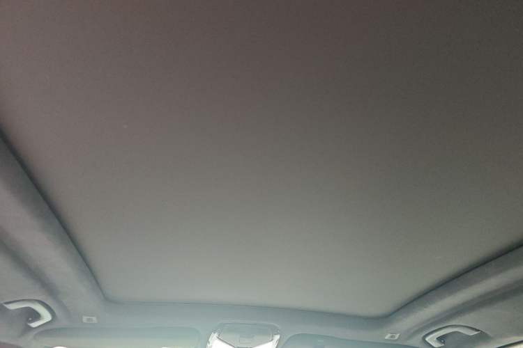 Used BMW X5 2022 Restyled xDrive 40Li Luxury Edition M Sport Package Headliner