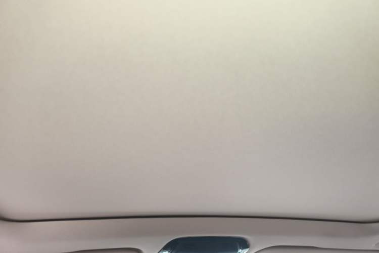 Used BMW X5 2022 Restyled xDrive 30Li Luxury Version M Sport Package Headliner