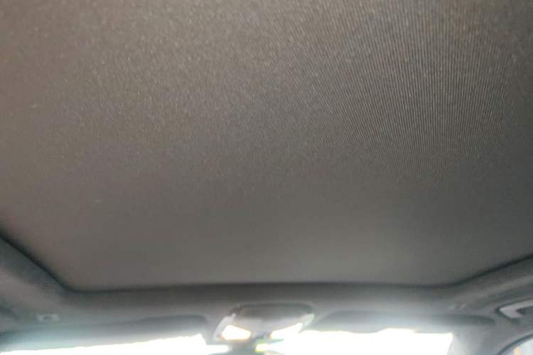Used BMW X5 2022 Restyled xDrive 40Li Luxury Edition M Sport Package Headliner