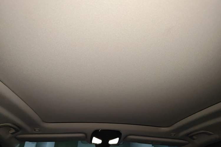 Used BMW X5 2022 xDrive 30Li M Sport Package Headliner