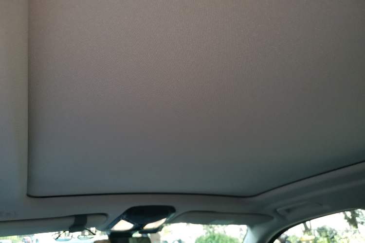 Used BMW X5 2022 xDrive 30Li Luxury M Sport Package Headliner