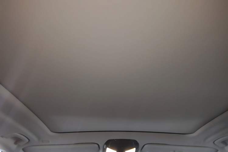 Used BMW X5 2022 xDrive 30Li Luxury M Sport Package Headliner