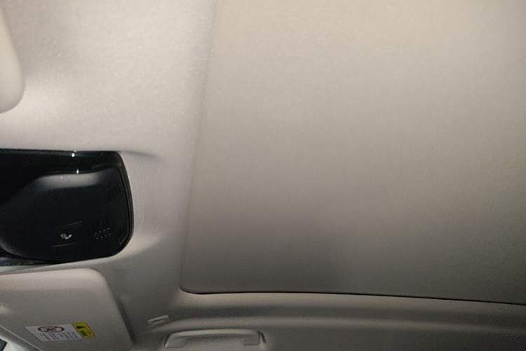 Used BMW X5 2022 xDrive 30Li Luxury M Sport Package Headliner