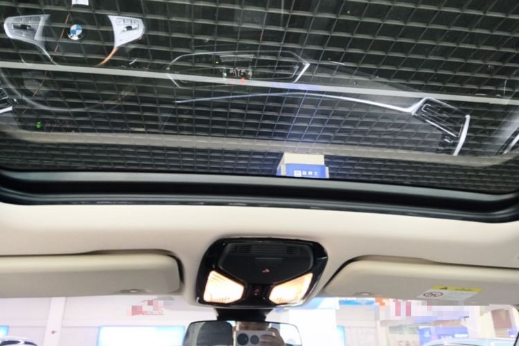 Used BMW X5 2022 xDrive 30Li M Sport Package Headliner