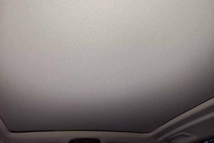 Used BMW X5 2022 xDrive30i M Sport Package Headliner