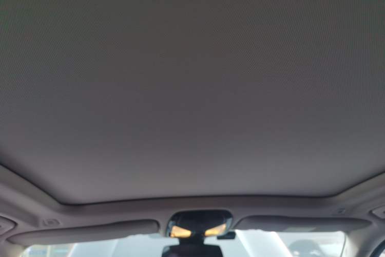 Used BMW X5 2022 xDrive 30Li Luxury M Sport Package Headliner