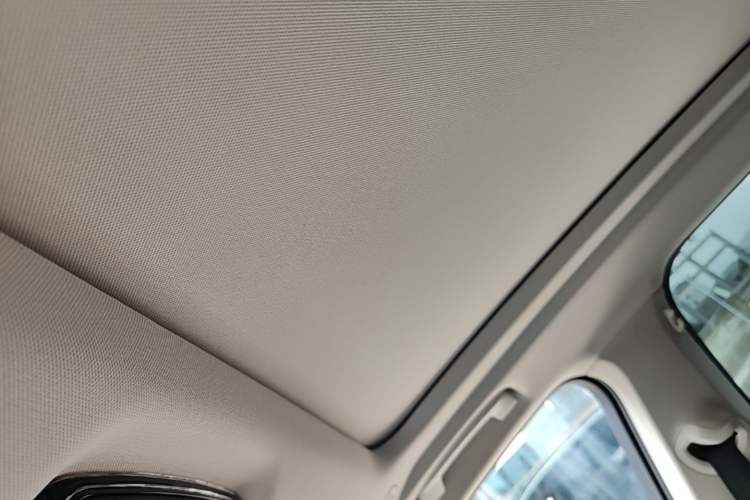 Used BMW X5 2022 Restyled xDrive 30Li Luxury Version M Sport Package Headliner