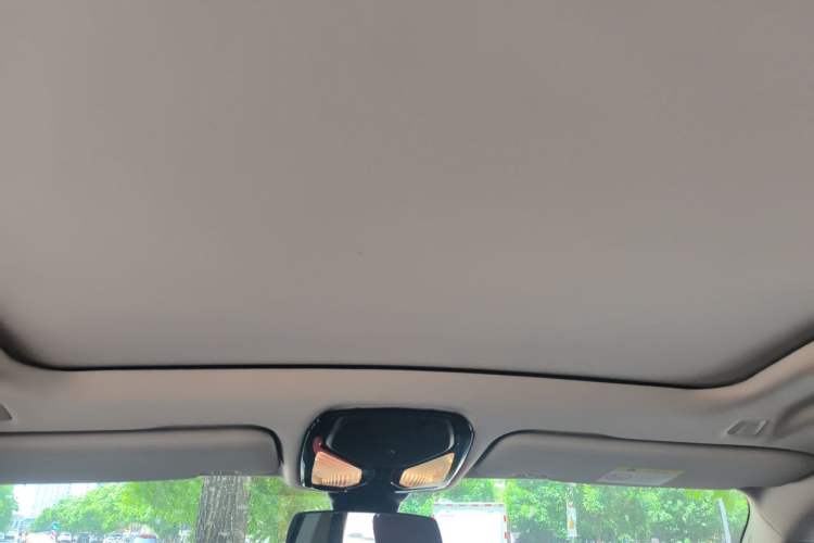 Used BMW X5 2022 xDrive 30Li M Sport Package Headliner