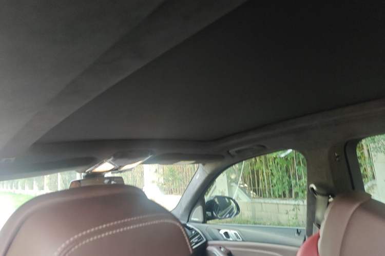Used BMW X5 2022 Restyled xDrive 40Li M Sport Package Headliner