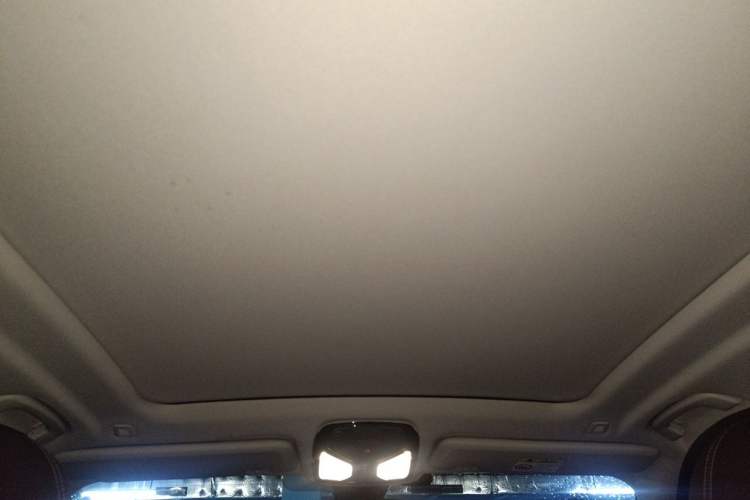 Used BMW X5 2022 xDrive 30Li Luxury M Sport Package Headliner