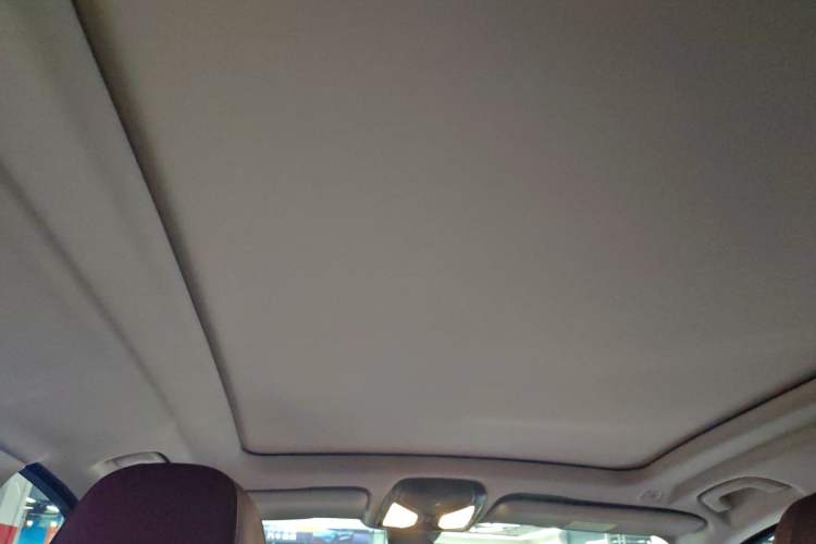 Used BMW X5 2022 Restyled xDrive 30Li Luxury Version M Sport Package Headliner