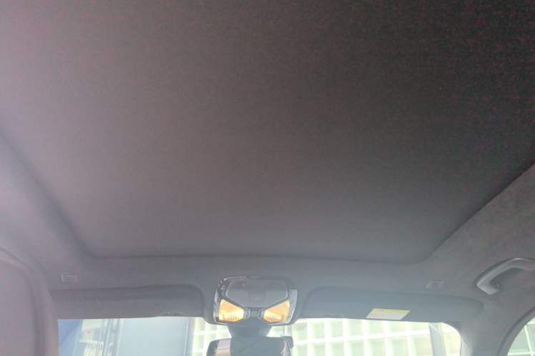 Used BMW X5 2022 xDrive 40Li M Sport Package Headliner