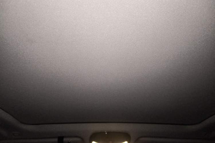 Used BMW X5 2022 xDrive 30Li Luxury M Sport Package Headliner