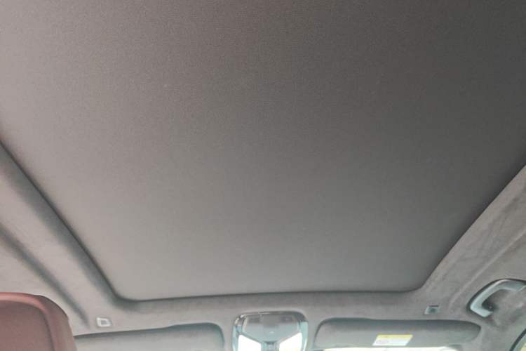 Used BMW X5 2022 Restyled xDrive 40Li M Sport Package Headliner