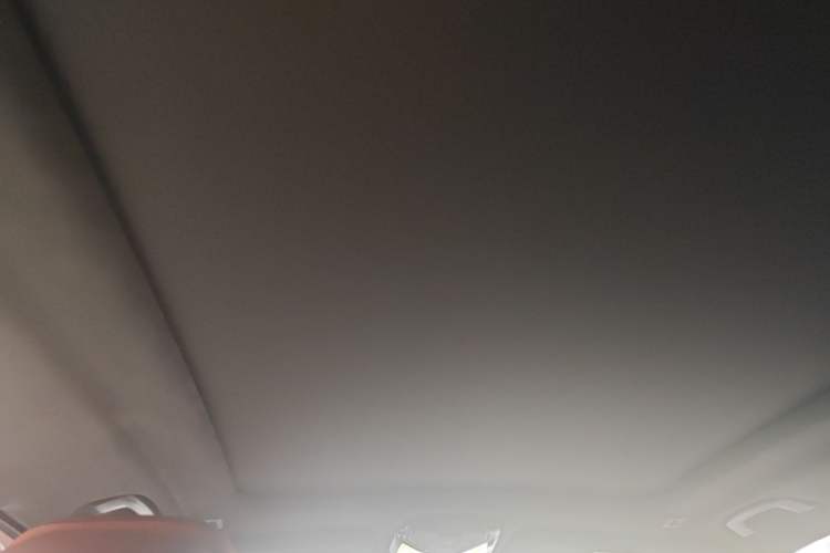Used BMW X5 2022 xDrive 40Li M Sport Package Headliner