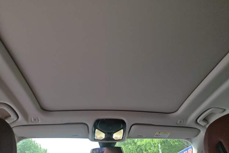 Used BMW X5 2022 xDrive 30Li Luxury M Sport Package Headliner