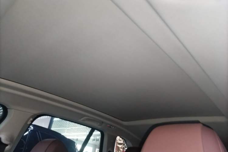 Used BMW X5 2022 xDrive30i M Sport Package Headliner