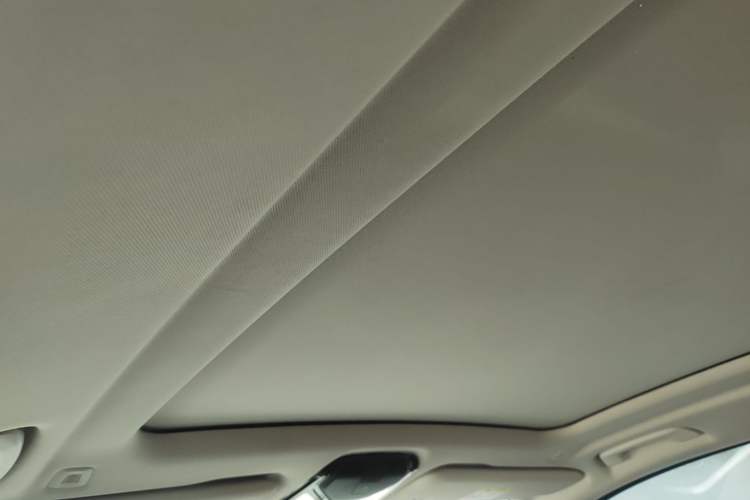 Used BMW X5 2022 xDrive 30Li Luxury M Sport Package Headliner