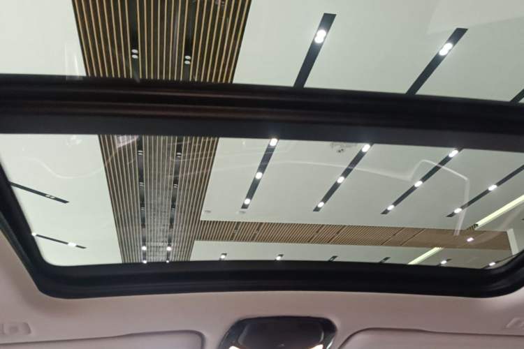 Used BMW X5 2022 xDrive 30Li Luxury M Sport Package Headliner