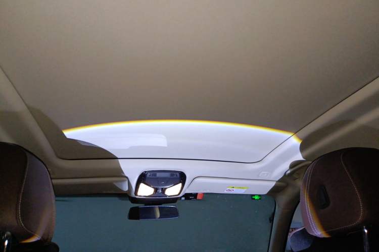 Used BMW X5 2022 xDrive 30Li M Sport Package Headliner