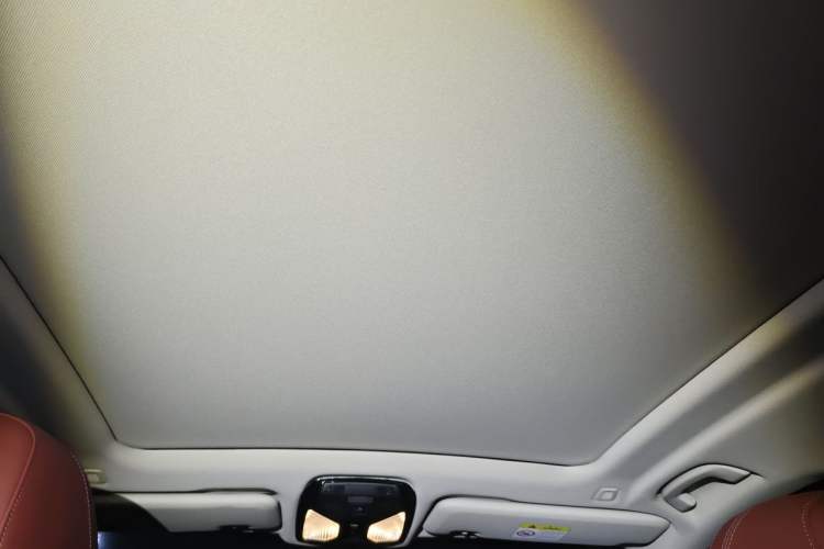 Used BMW X5 2022 Restyled xDrive 30Li Luxury Version M Sport Package Headliner