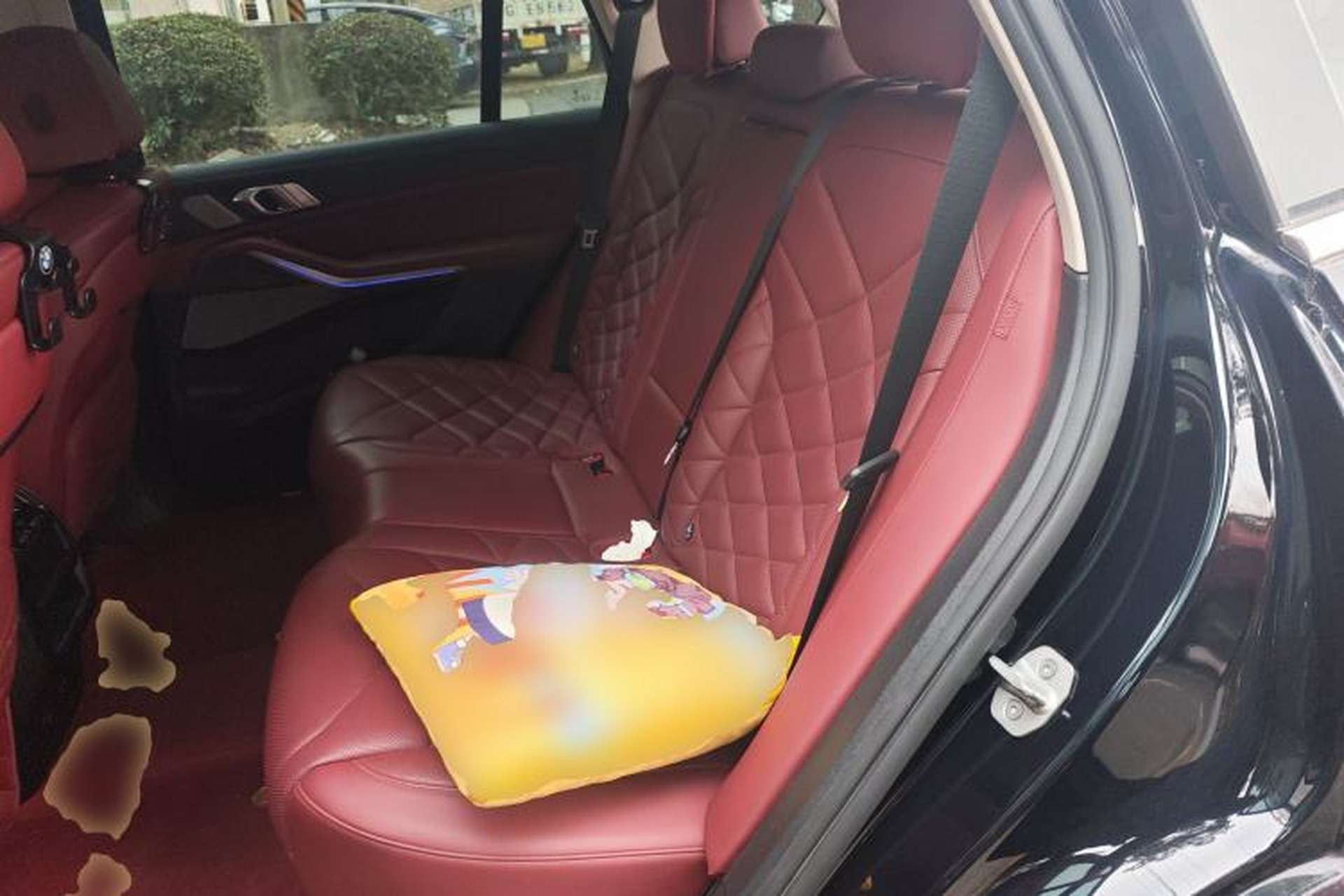 Used BMW X5 2022 xDrive 30Li Luxury M Sport Package Left Rear Seat