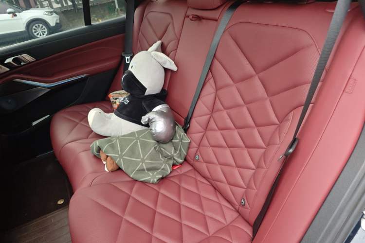 Used BMW X5 2022 xDrive 40Li Luxury Edition M Sport Package Left Rear Seat