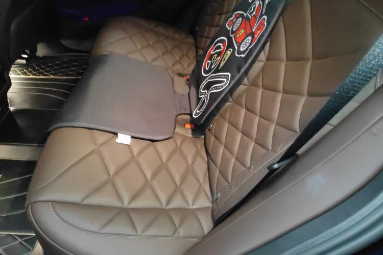 Used BMW X5 2022 xDrive 30Li Luxury M Sport Package Left Rear Seat