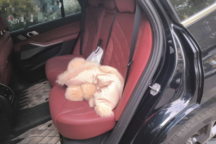 Used BMW X5 2022 xDrive 40Li M Sport Package Left Rear Seat