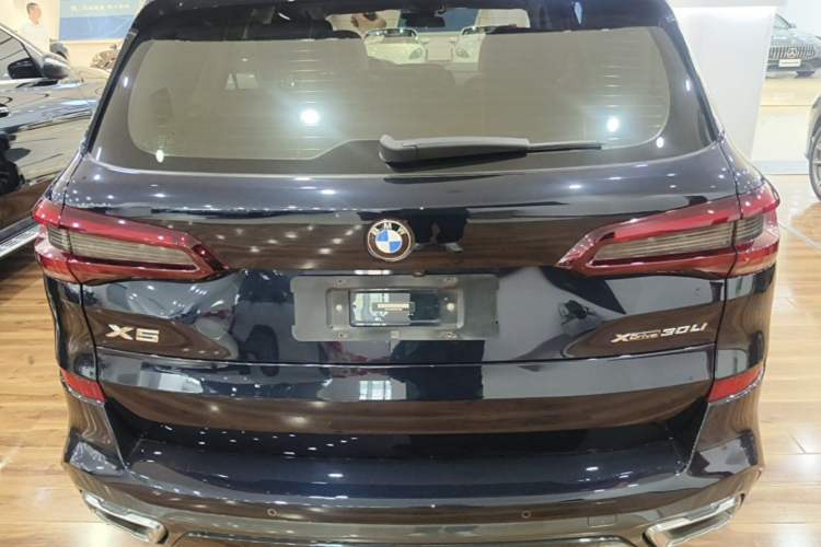 Used BMW X5 2022 xDrive 30Li Luxury M Sport Package Rear