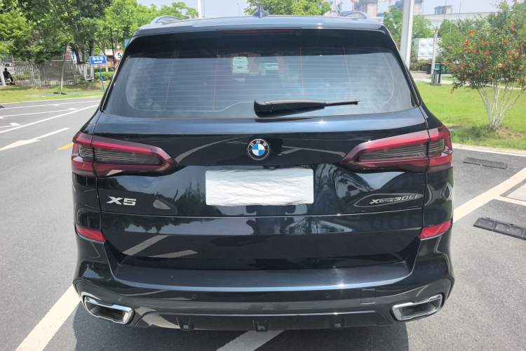 Used BMW X5 2022 xDrive 30Li Luxury M Sport Package Rear