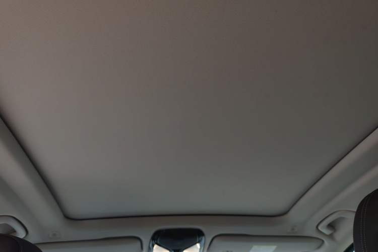 Used BMW X5 2022 xDrive 30Li Luxury M Sport Package Headliner