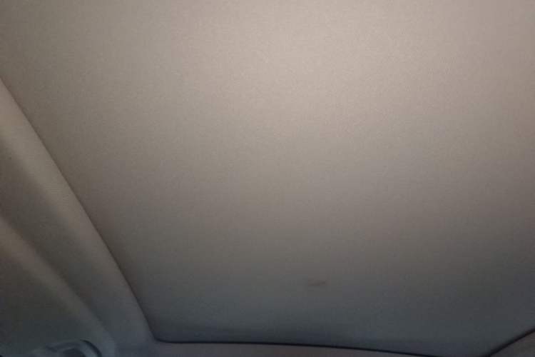 Used BMW X5 2022 xDrive 30Li Luxury M Sport Package Headliner