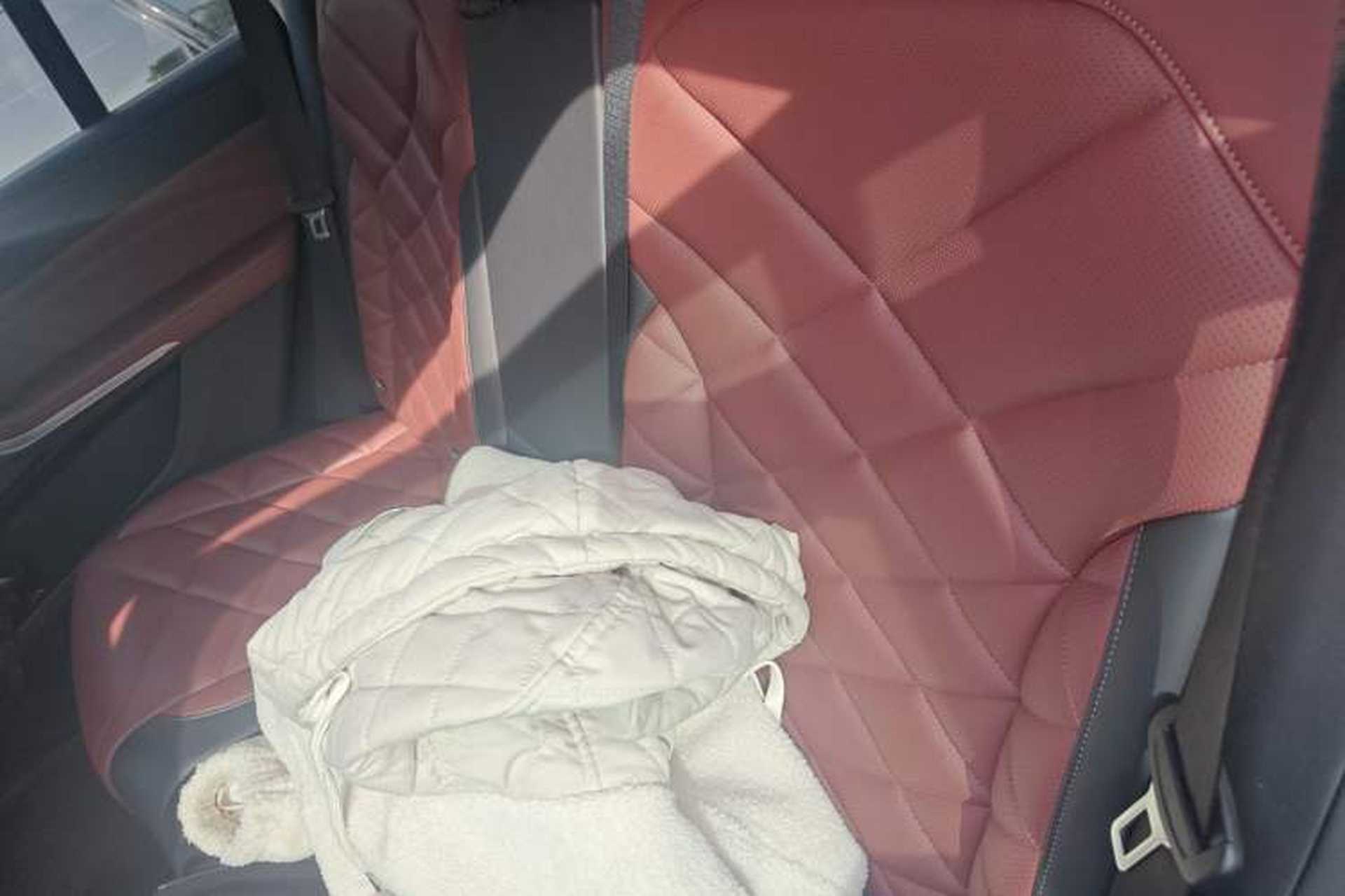 Used BMW X5 2022 xDrive 30Li Luxury M Sport Package Left Rear Seat