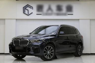 Used BMW X5 2022 xDrive40i M Sport Package