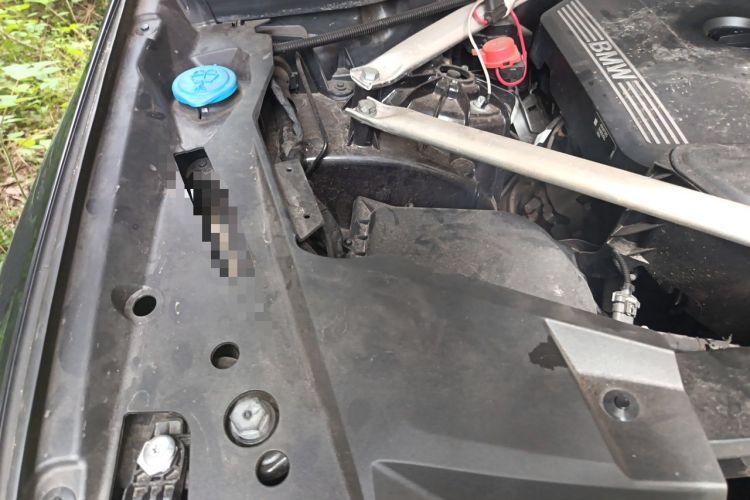 Used BMW X5 2022 xDrive 30Li Luxury M Sport Package Engine Bay Right