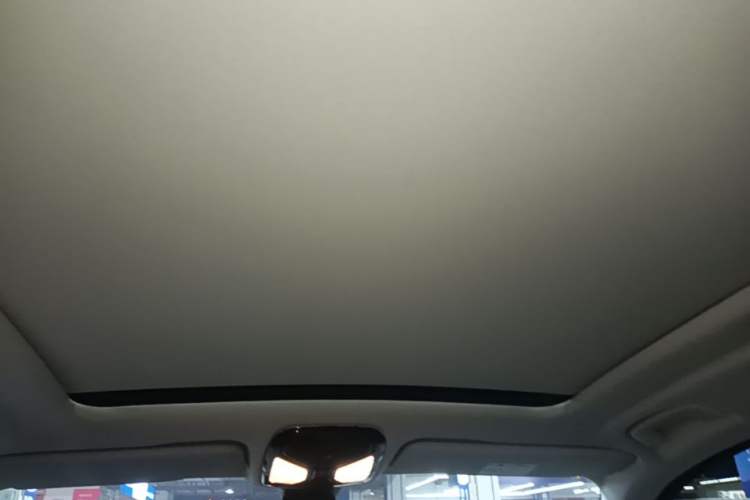 Used BMW X5 2022 Restyled xDrive 30Li Luxury Version M Sport Package Headliner