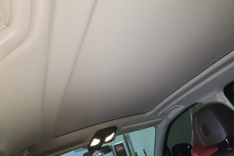 Used BMW X5 2022 xDrive 30Li Luxury M Sport Package Headliner